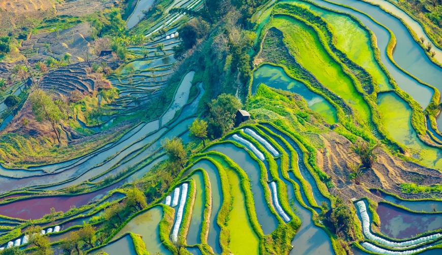 宝妈必备神器：东丽区产品视频拍摄轻松育儿好帮手